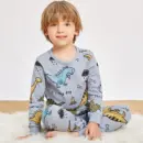 Toddler Dinosaur Print Pajama Set