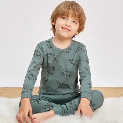 Toddler Dinosaur Print Pajama Set